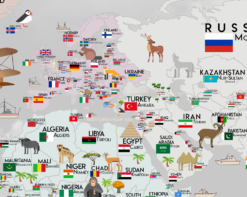 Dünya Haritası İngilizce Bayraklı Başkentli Mir Ares